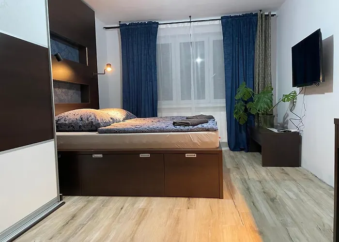 Misvest Lord Karol זברזה